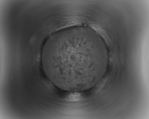 X0000088850369200706081139