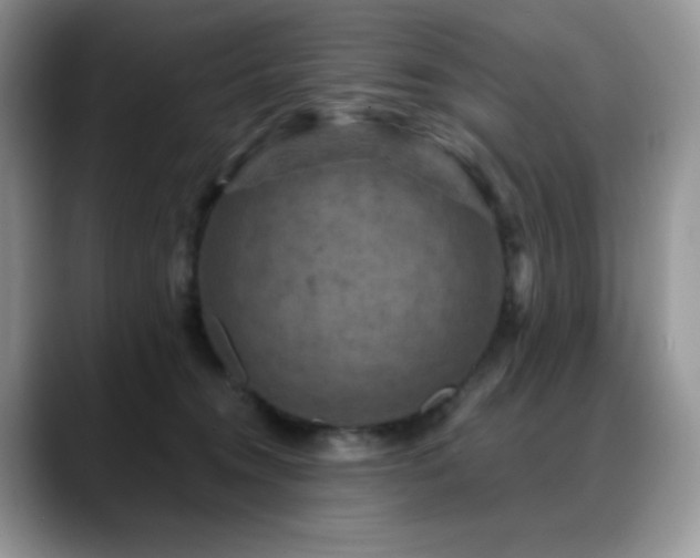 X0000088850372200706081139