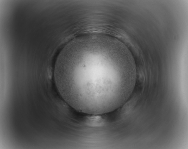 X0000088850374200706081139