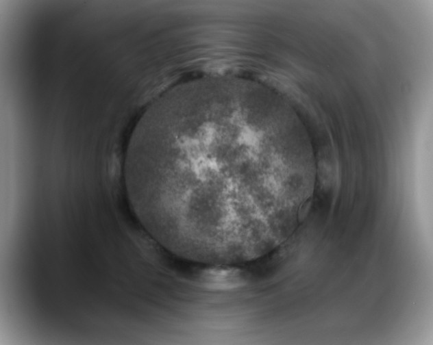 X0000088850375200706081139