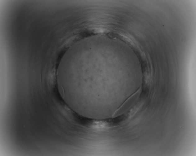 X0000088850376200706081139