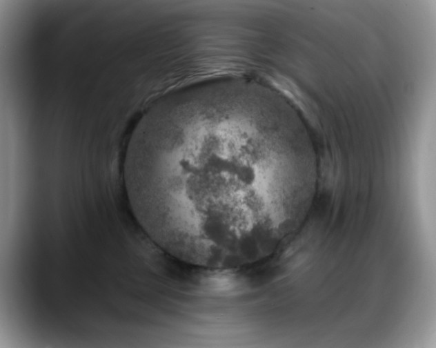 X0000088850377200706081139