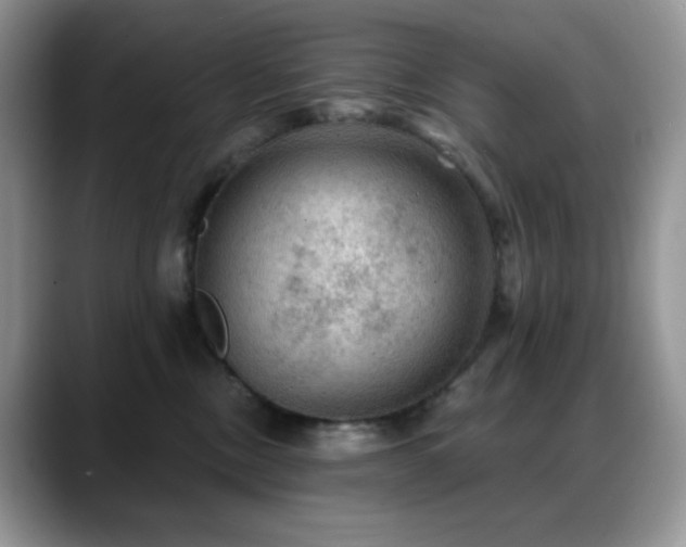 X0000088850378200706081139