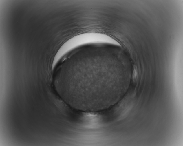 X0000088850380200706081139