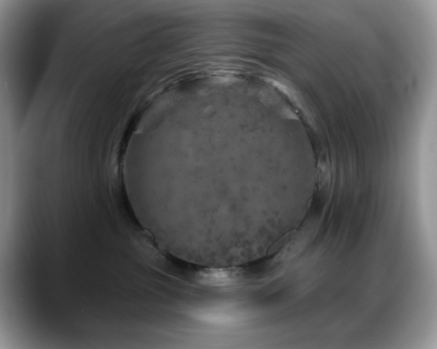 X0000088850381200706081139