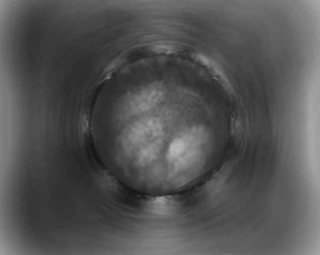 X0000088850382200706081139