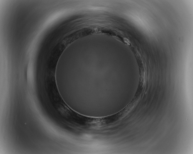 X0000088850383200706081139
