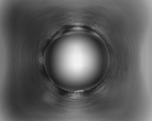 X0000088850384200706081139