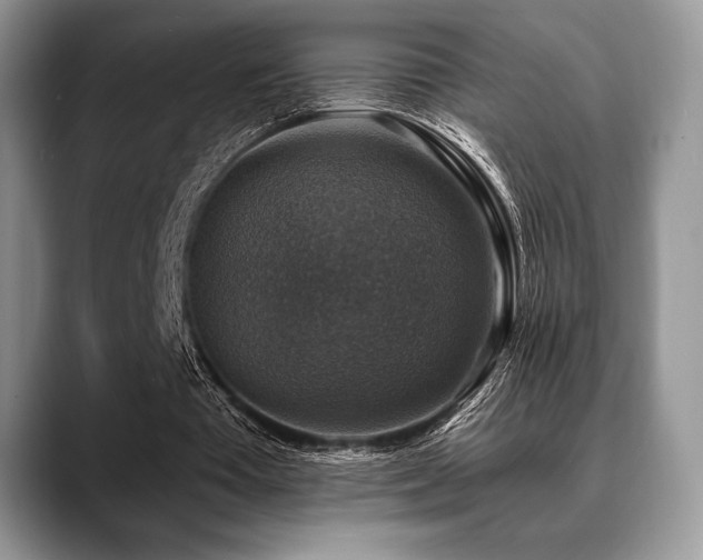 X0000088850385200706081138
