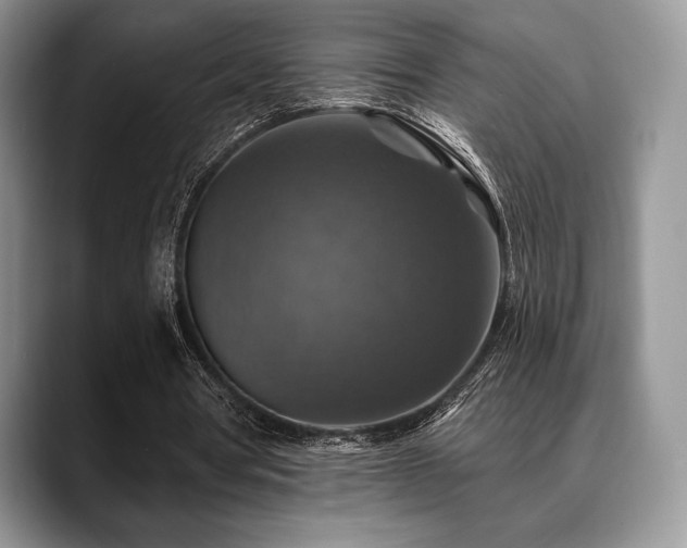 X0000088850386200706081138