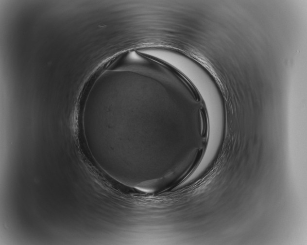 X0000088850387200706081138