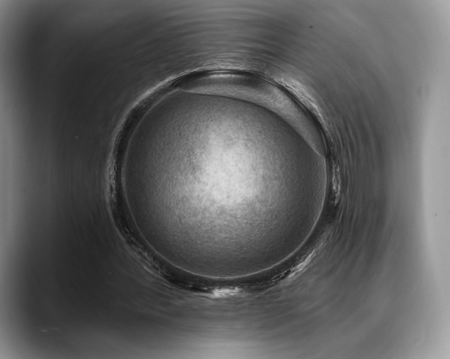 X0000088850388200706081138