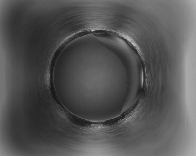X0000088850391200706081138