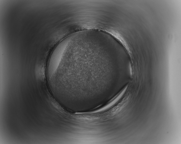X0000088850393200706081138