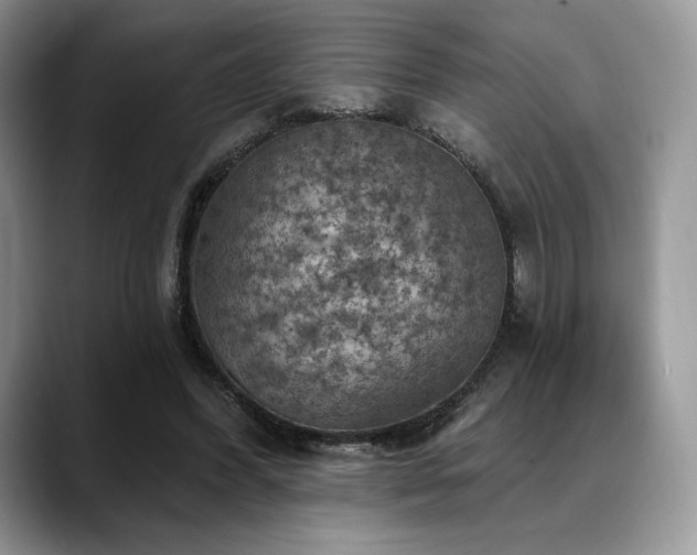 X0000088850396200706081138