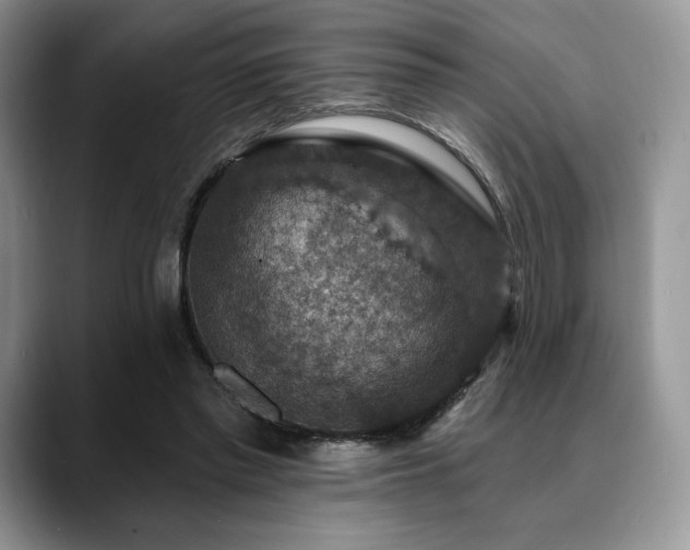 X0000088850397200706081138