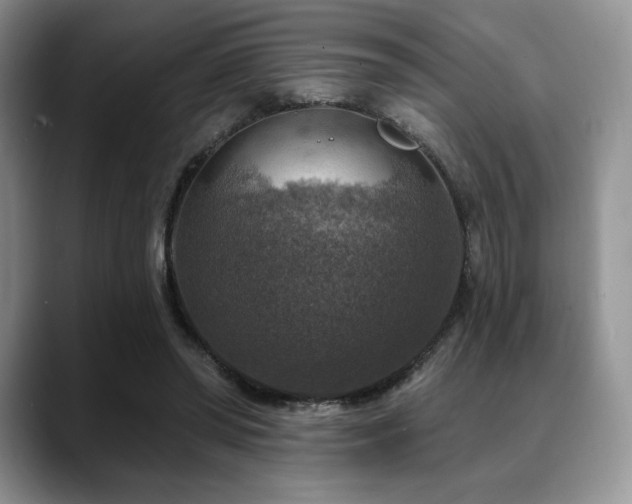 X0000088850398200706081138