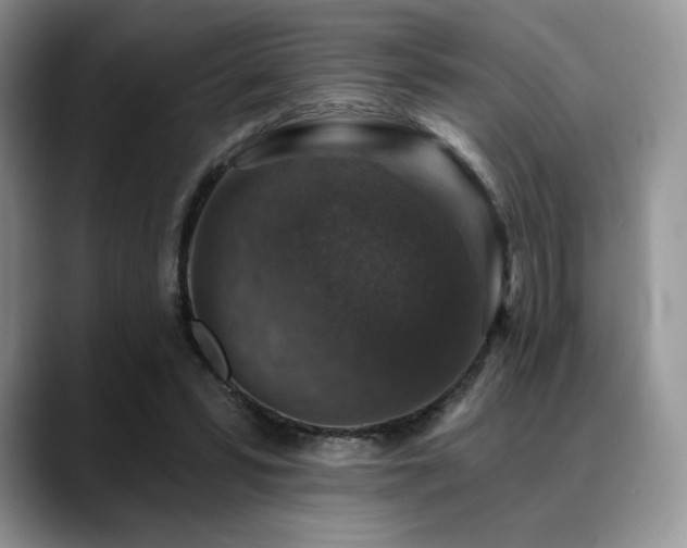 X0000088850399200706081138