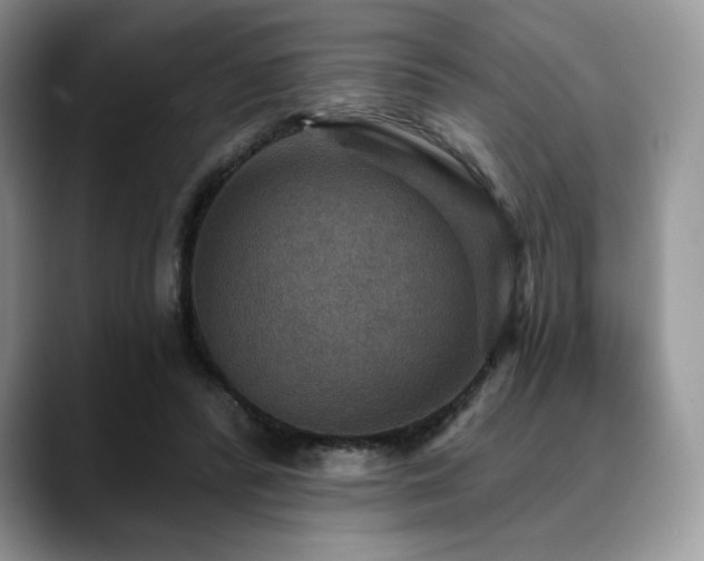 X0000088850400200706081138