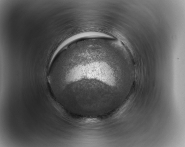 X0000088850401200706081138