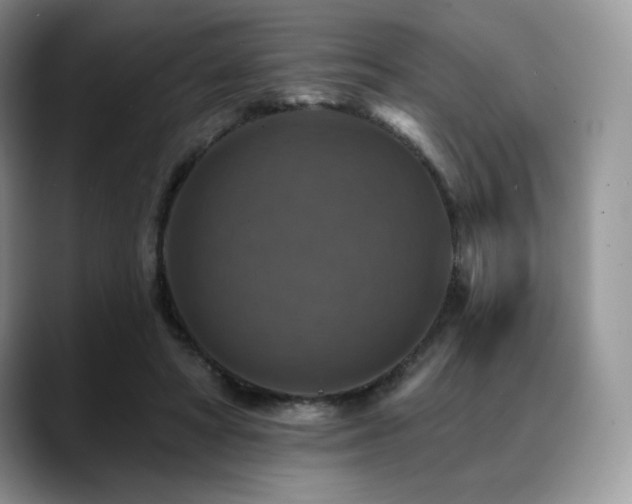 X0000088850402200706081138