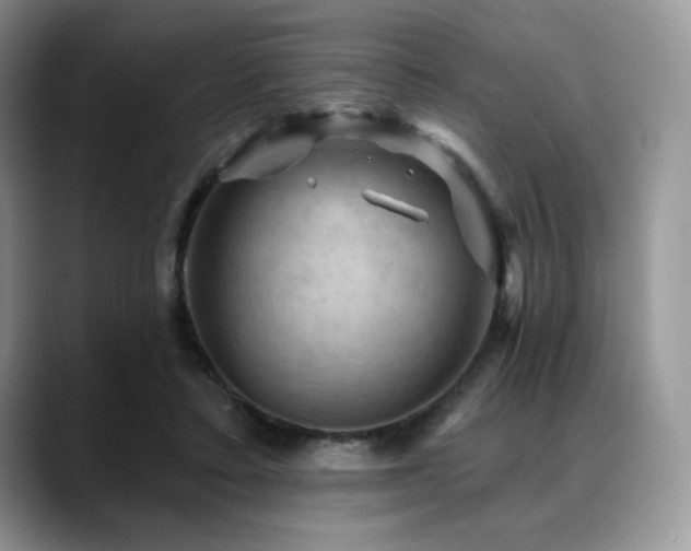 X0000088850403200706081138