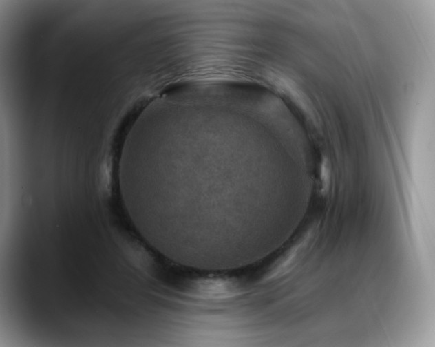 X0000088850404200706081138