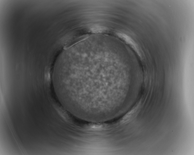 X0000088850405200706081138