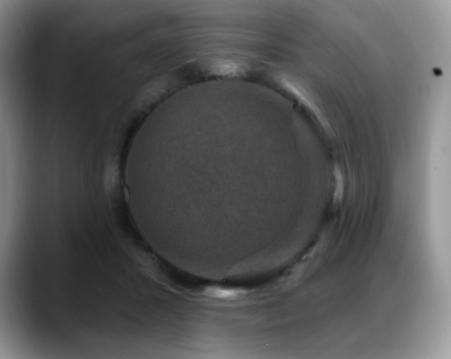 X0000088850407200706081138