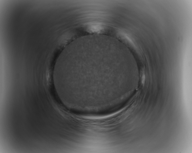 X0000088850408200706081138