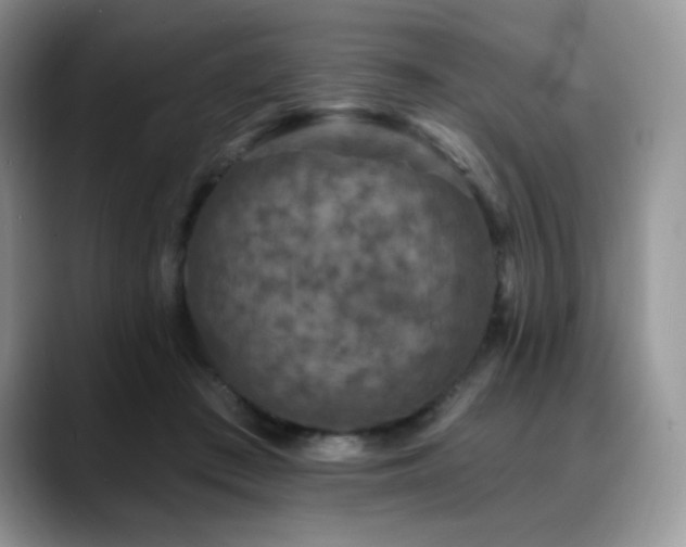 X0000088850409200706081138