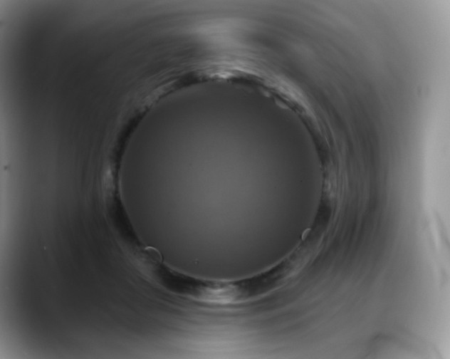 X0000088850410200706081138