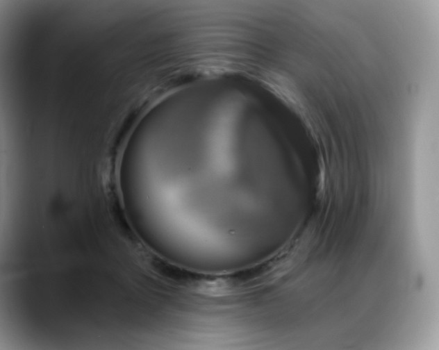 X0000088850411200706081138