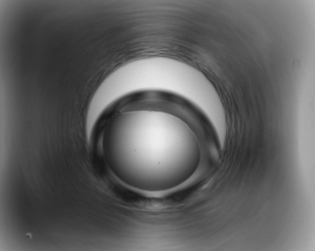 X0000088850412200706081138