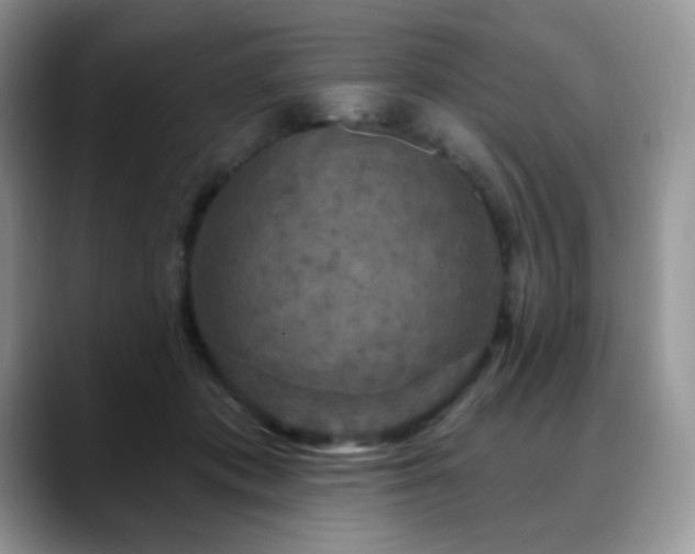 X0000088850413200706081138
