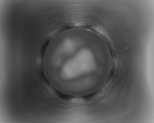 X0000088850415200706081138