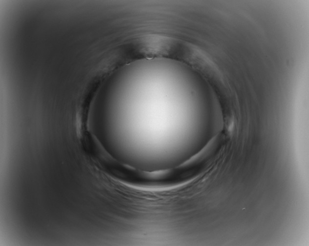 X0000088850416200706081138