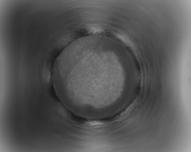 X0000088850417200706081138