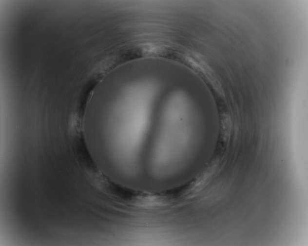 X0000088850419200706081138