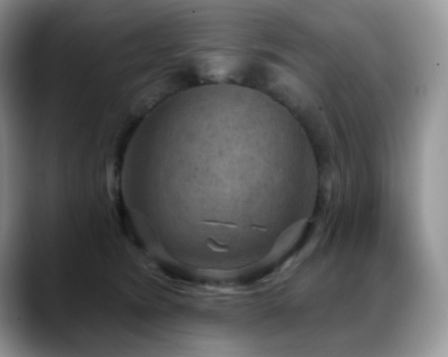 X0000088850420200706081138