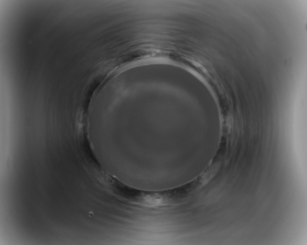 X0000088850423200706081138