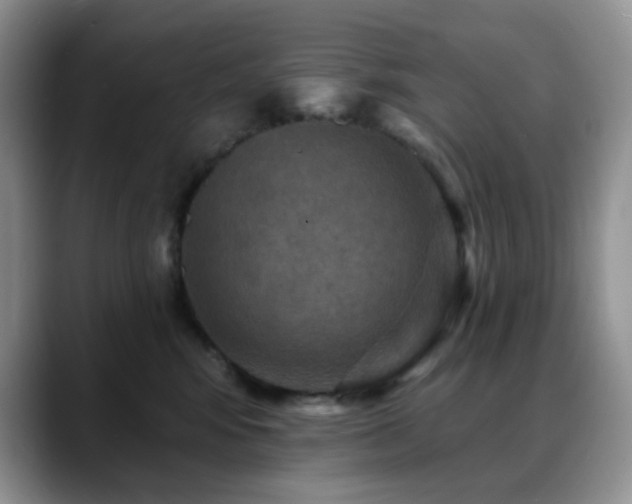 X0000088850424200706081138