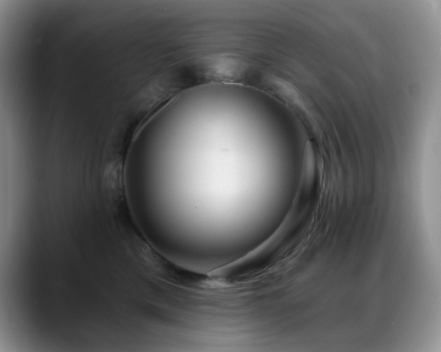 X0000088850425200706081138