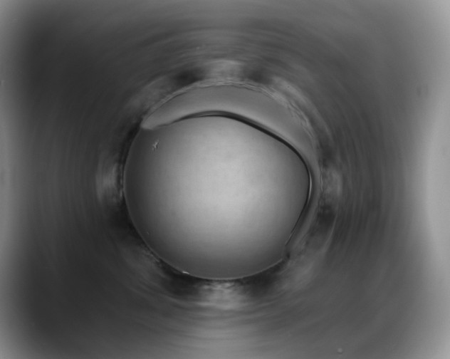 X0000088850428200706081138