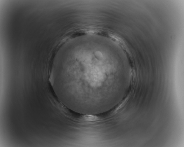 X0000088850429200706081138
