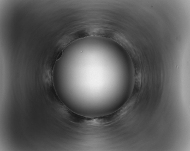 X0000088850430200706081138