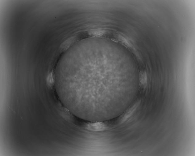 X0000088850431200706081138