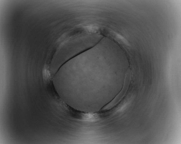 X0000088850432200706081138