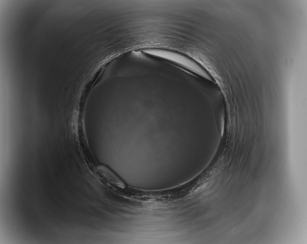 X0000088850434200706081137