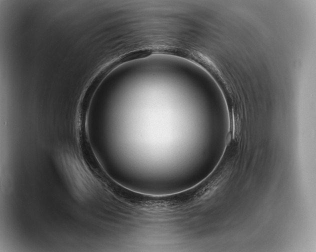 X0000088850435200706081137